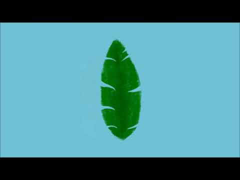[ASMR] 뚜껑 열고 닫기 / Opening Lids
