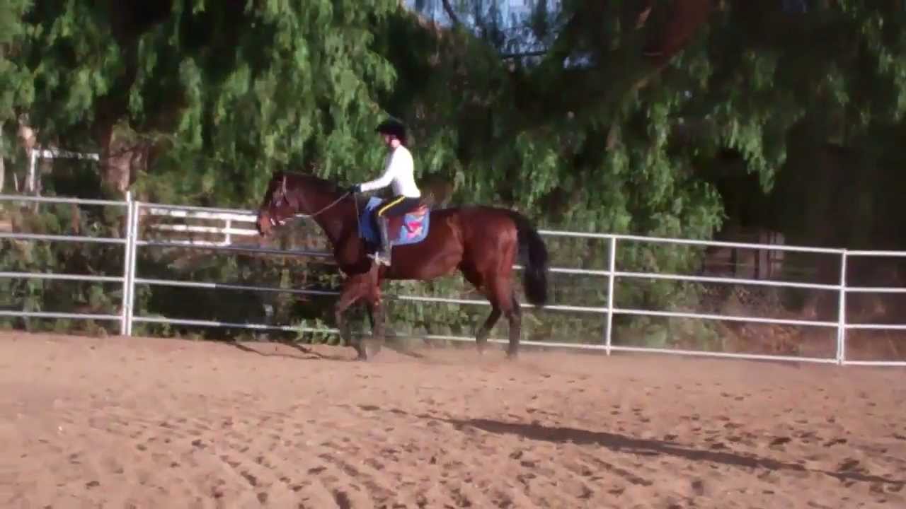 Megan Flores and Makayla Lindstrom testing out Matrix, a new horse. Dec. 2012