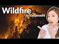 A Mistake Caused a Wildfire in Yamanashi Japan (Advent Calendar Day 10)