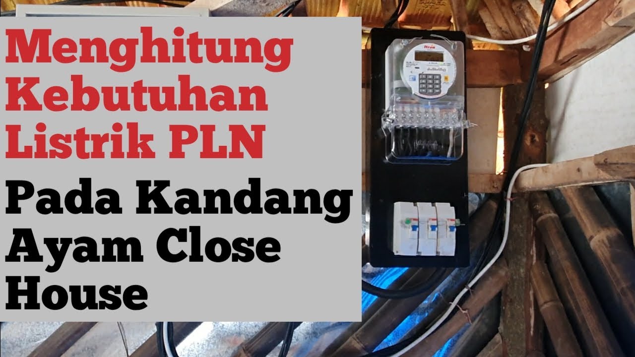 Cara Menghitung Kebutuhan Listrik PLN di Kandang Ayam Broiler Close