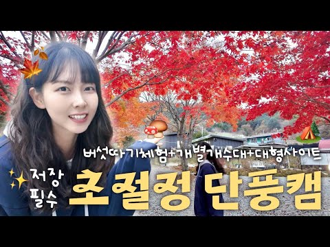 단풍 명소로 소문난 서울 근교 프라이빗 캠핑장🍁ㅣ현실부부에게 캠핑이란..