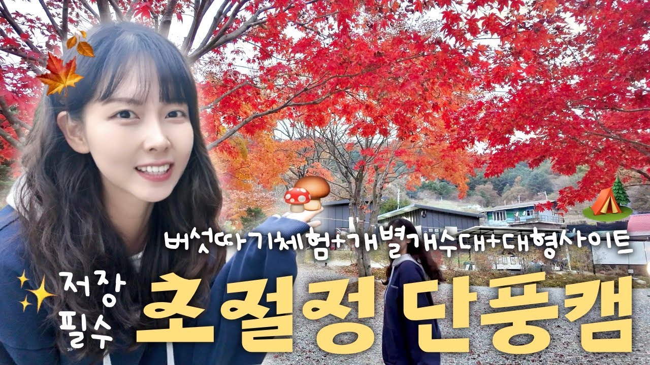 단풍 명소로 소문난 서울 근교 프라이빗 캠핑장🍁ㅣ현실부부에게 캠핑이란..