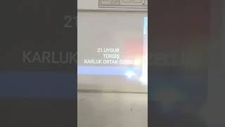 Uygur,Türgiş,Karlukların Ortak Özellikleri Şfet