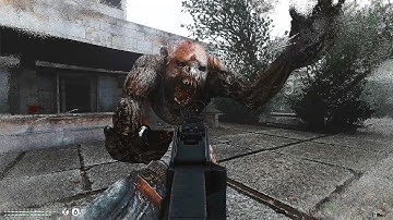 S.T.A.L.K.E.R. Anomaly is definitely not even scary...