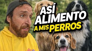Como alimento a los perros 🐶