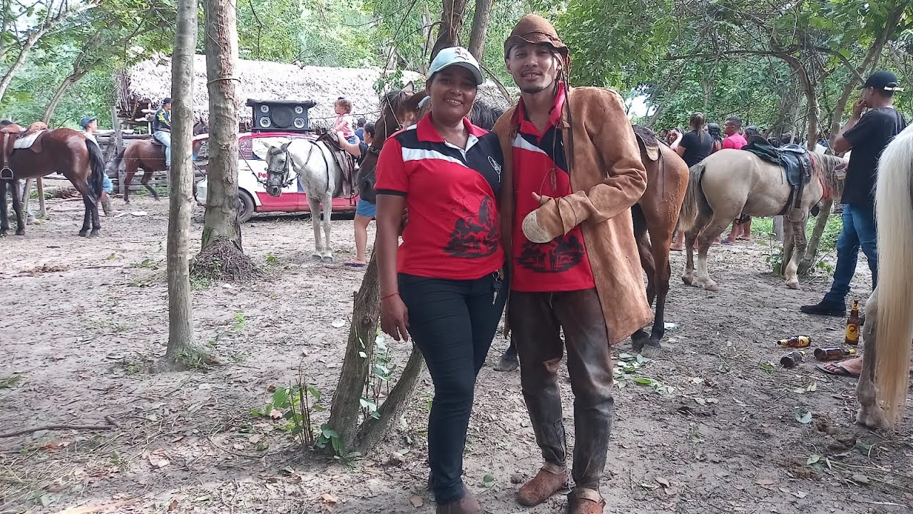 O GADO É BOM VAQUEJADA BOI NO MATO -- 2024