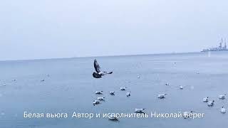 Белая вьюга Николай Берег видео 7 02 2023 Бердянск