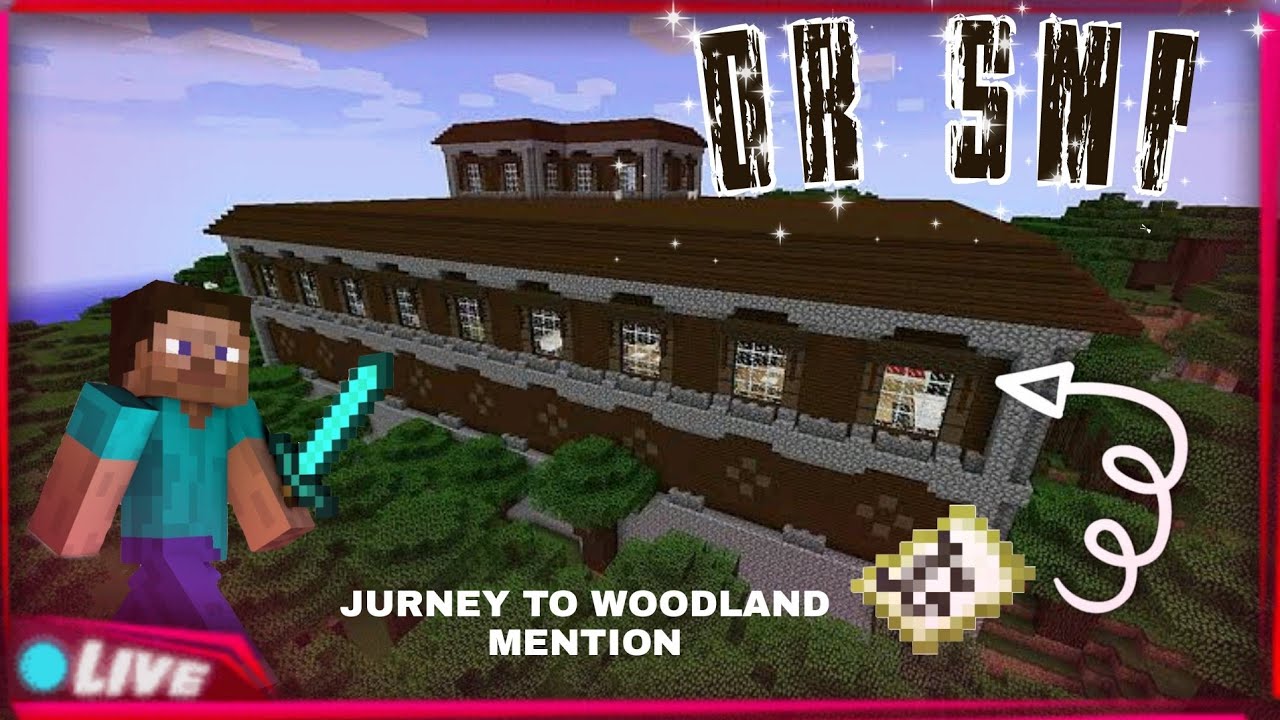 DR SMP MINECRAFT LIVE JAVA+BEDROCK - YouTube