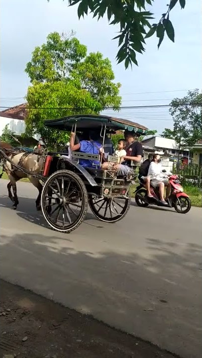 Dokar Banyumas 23.1.2021 #shorts