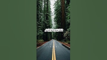 قران كريم «الْمُلْكُ يَوْمَئِذٍ الْحَقُّ لِلرَّحْمَٰنِ ۚ»  سوره: الفرقان