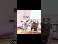 Tinderで天使みたいな女の子と付き合った結果… #猫ミーム