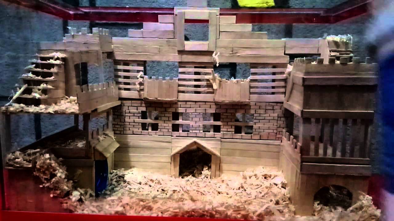 DIY Hamster House - YouTube