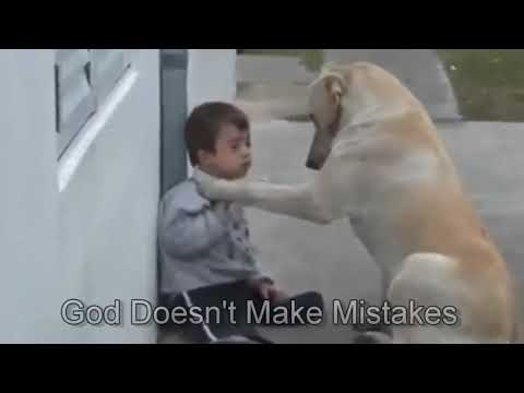 Βίντεο: Μπορούν τα σκυλιά να έχουν σύνδρομο Down; - Σύνδρομο Down σε σκύλους - Σκύλοι Down Syndrome