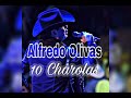 10 Charolas-Alfredo Olivas