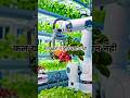 Future Farmer 😨 | Kya AI Kisano Ko Replace Kar Degi? #shorts