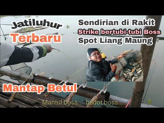 Mancing Jatiluhur Terbaru Strike Badot Mama Nila Di Batubuyung 2020 Youtube