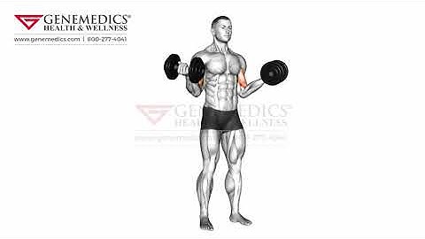 Dumbbell Standing Inner Biceps Curl version 2 Upper Arms Exercise