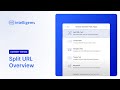 Shopify Content Tests with Intelligems - Split URL Overview