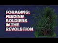 Foraging in the Revolutionary War