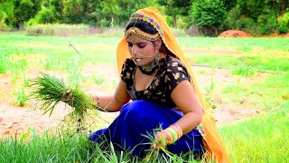 I will reap the harvest in Ninani's fields. Rajasthani Dj Song. Marwadi Song 2023. New Rajasthani Song. PMD Rajasthan