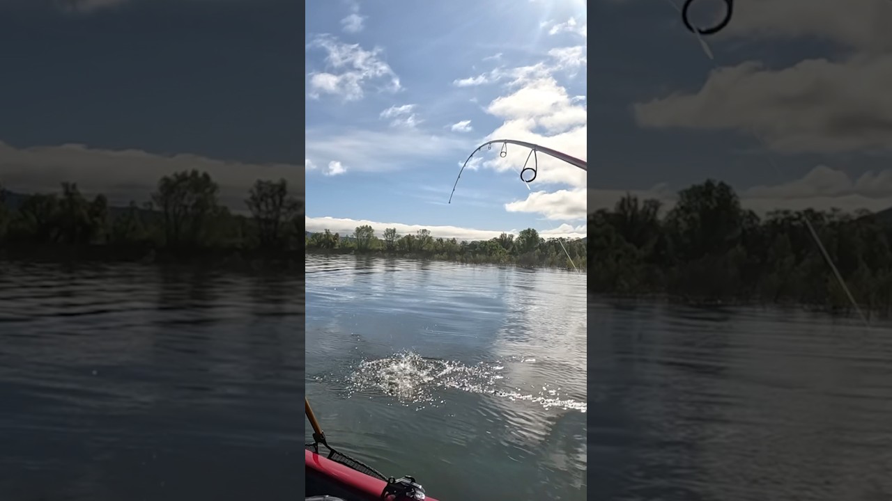 Who would rather be fishing? 