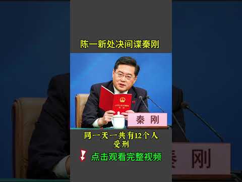 陳一新處決間諜秦剛