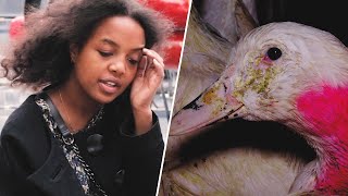 Do Parisians Know How Foie Gras Is Made?