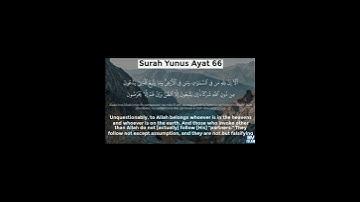 سورة يونس أيت نمبر 66 تلاوت قران كريم سعد أيوب #تلاوت #تلاوات #قرآن #سعد
