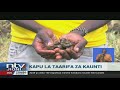 Busia Mwalimu Mkuu Adaiwa Kumbaka Mwanafunzi Busia Mwalimu Mkuu Adaiwa Kumbaka Mwanafunzi