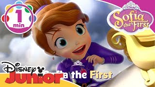 Sofia The First | Sing along - Theme Song! | Disney Kids