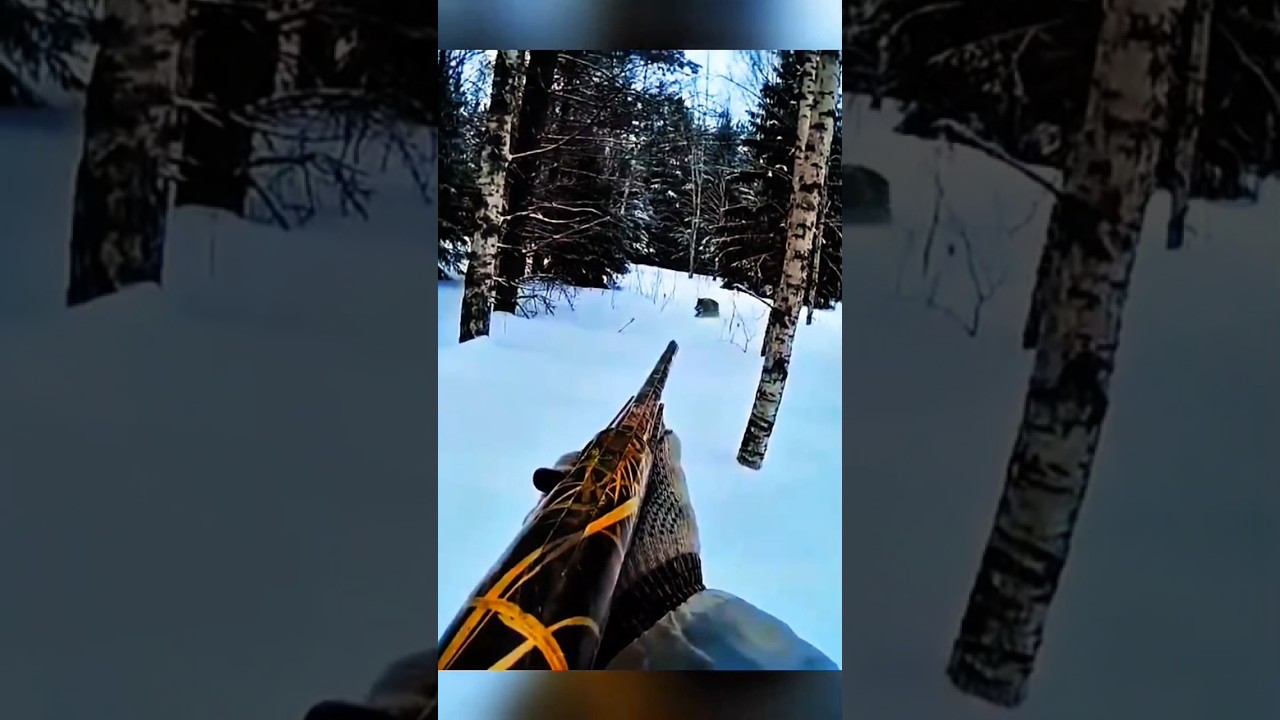 Boar Hunting Shot | Russian Wild Boar Hunt 2025