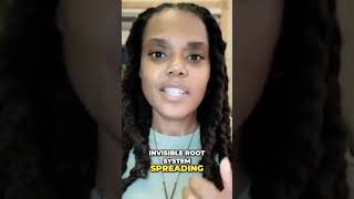 4 Years of Nothing Then This Happened #healingjourney
Everyone told you nothing was happening.
They were wrong. What looks like waiting is actually the most crucial phase and when it hits, youll understand why the timing was perfect.
▶️ The bamboo farmers secret changes everything
→Watch the full video 4 Years of Nothing Then This Happened #healingjourney