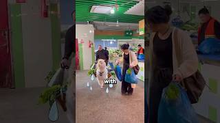 This Girls Alpaca Did Her Grocery Shopping For Her 
