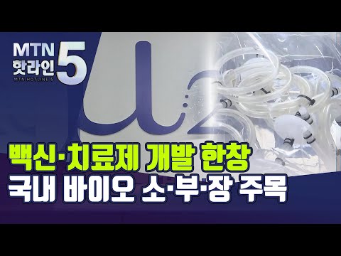 백신·치료제, 국내 바이오 소·부·장 기업이 이끈다 / 머니투데이방송 (뉴스)
