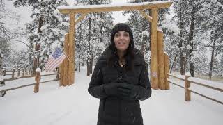 28380 Squirrel Ln, Conifer Colorado Home For Sale