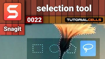 0022. selection tool in snagit