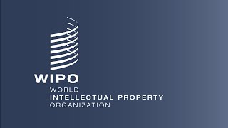 Digital Millennium Copyright Act/ WIPO