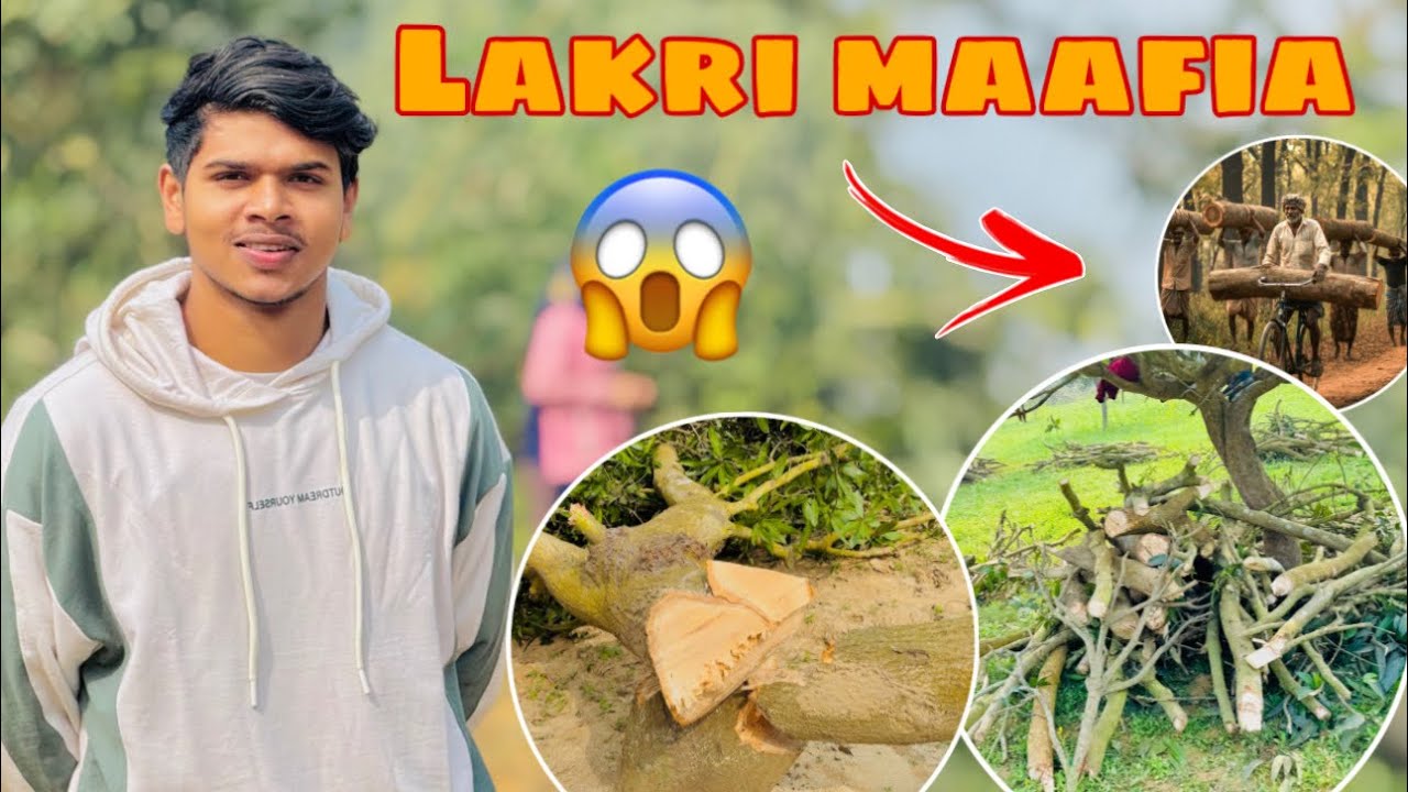 Mere Gaon Ke Log Lakri Mafia Ban Gaye 😱 Ground Reality Exposed