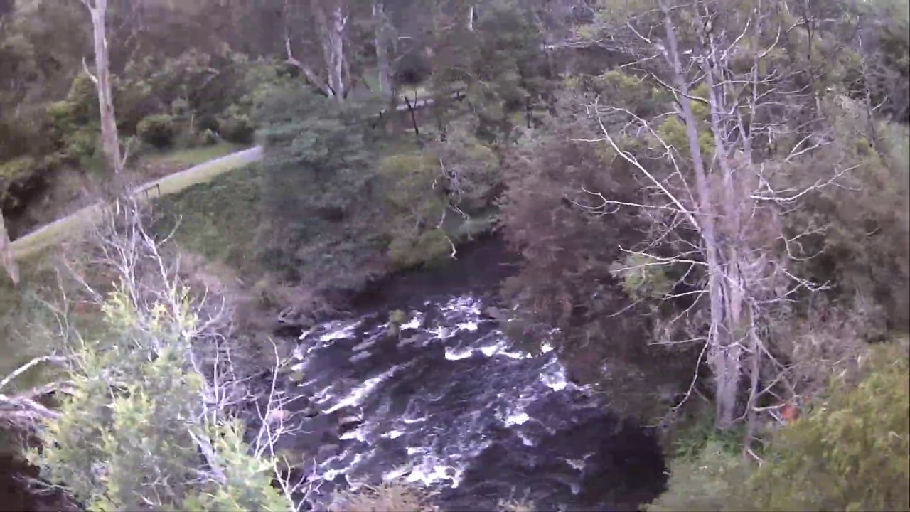Warburton yarra river picnic area YouTube