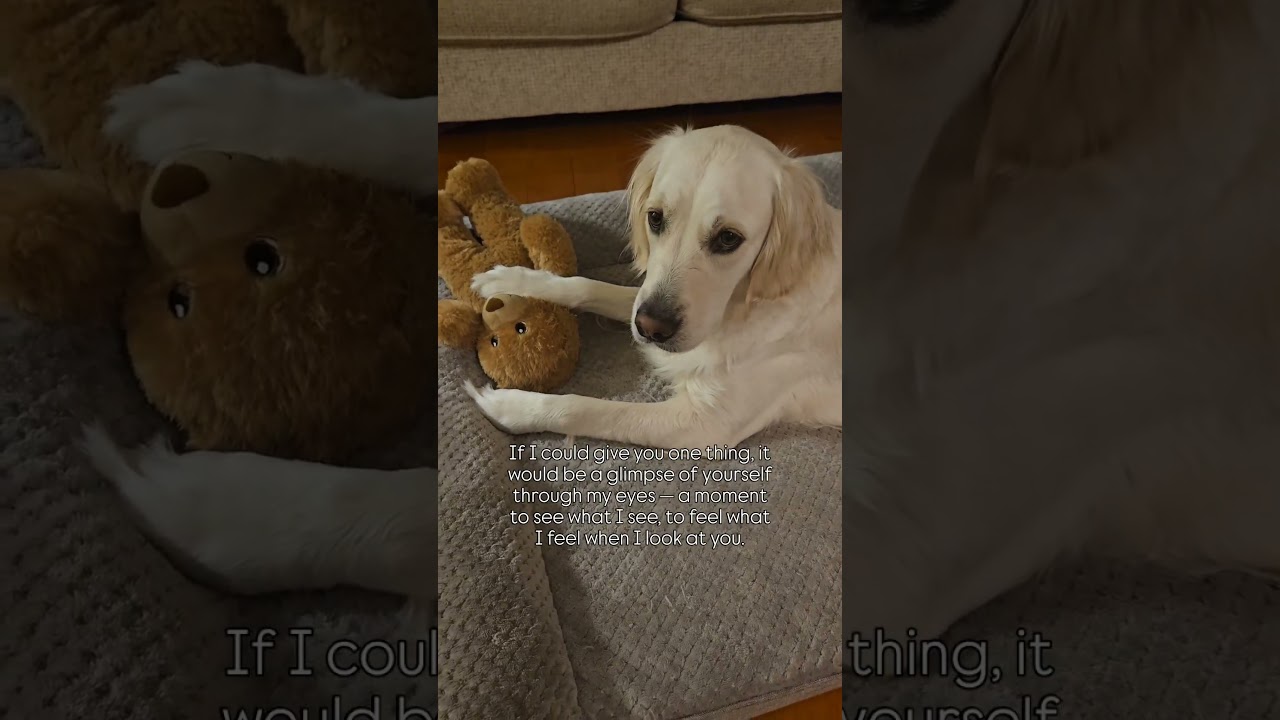 Who's cutting onions 🥹 