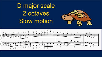 D major scale 2 octaves, slow motion #pianotutorial