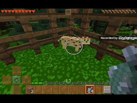 Cómo amaestrar ocelotes en minecraft - YouTube