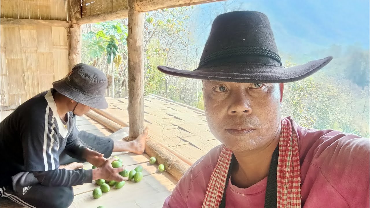 Mei kawngsial leh lo hal lai vlog ilo thlir ang.