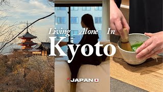 Kyoto JAPAN Vlog | solo trip, cute cafes, affordable hotel, best bar, nishiki market, kiyomizu-dera screenshot 5