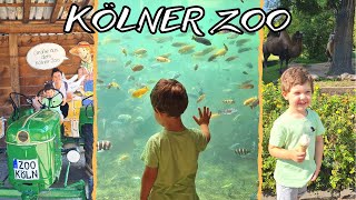 ПЪРВА СРЕЩА С ЛЮБИМИТЕ ДИВИ ЖИВОТНИ В КЬОЛНСКИЯ ЗООПАРК / DAY AT THE COLOGNE ZOO / KÖLNER ZOO / DITL