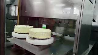 Round cake cut - Cheersonic Ultrasonic UFM6000 standard machine