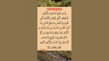 القرآن الكريم سورة البقرة ماهر المعيقلي #القرآن_الكريم #راحة_نفسية #اطمئن