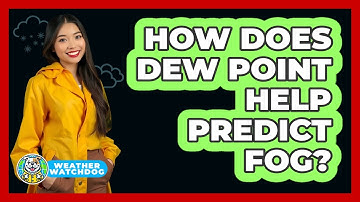 How Does Dew Point Help Predict Fog? - Weather Watchdog