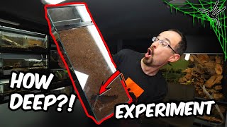 How DEEP Can TARANTULA DIG?!?! EXPERIMENT!