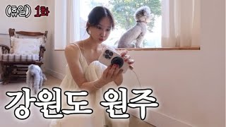 Vlog 내가 뭘 하면 좋아할지 내가 제일 잘 알지 | 원주 또간집1등 맛집 다녀옴 | 하이봉자펜션 단체펜션추천 | 요가강사 일상 브이로그 | 치팅데이 1일 1식(?)